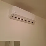 Gelsi *
