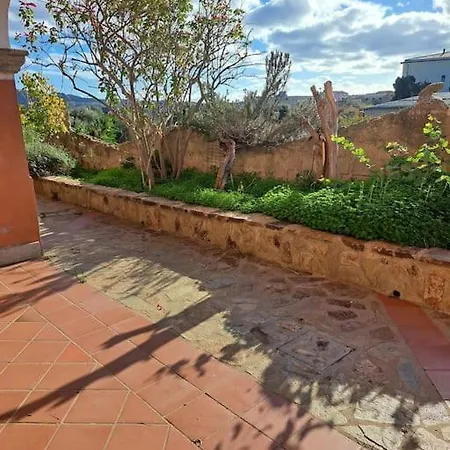 Gelsi La Maddalena (Sassari)